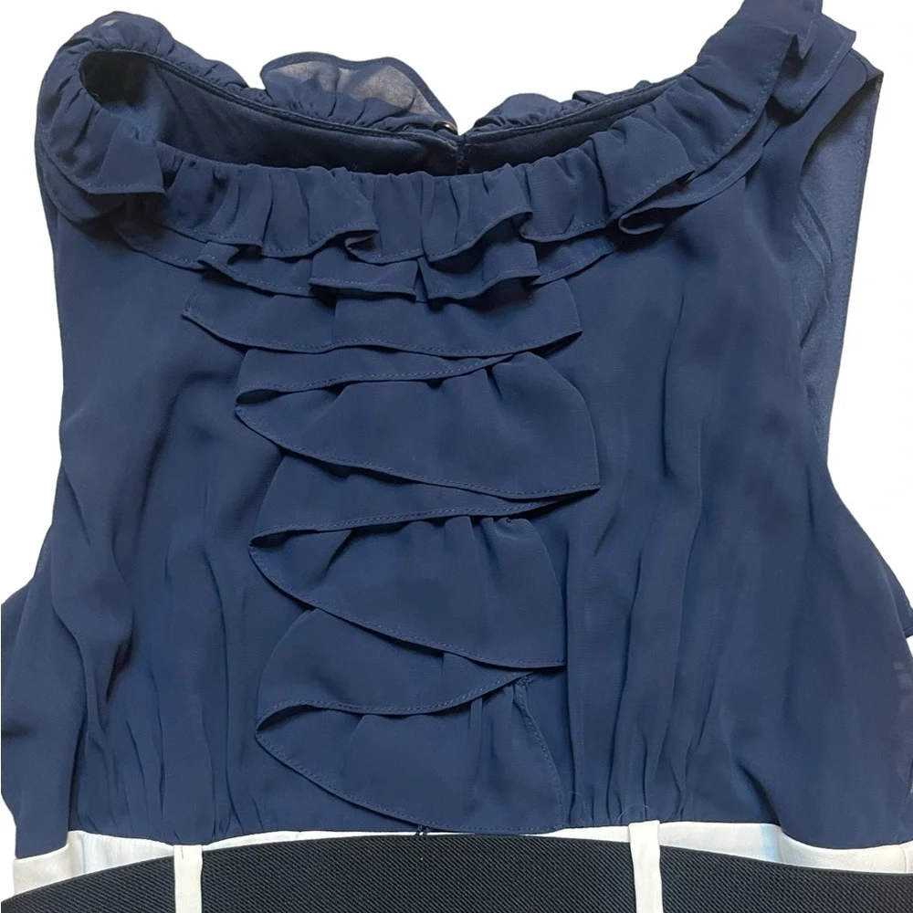 ALYX Ruffle Bodice Sleeveless Women’s Dress size 12 - Picture 15 of 15